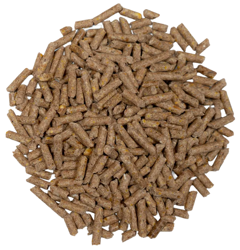 POTBELLY PIG PELLET feed