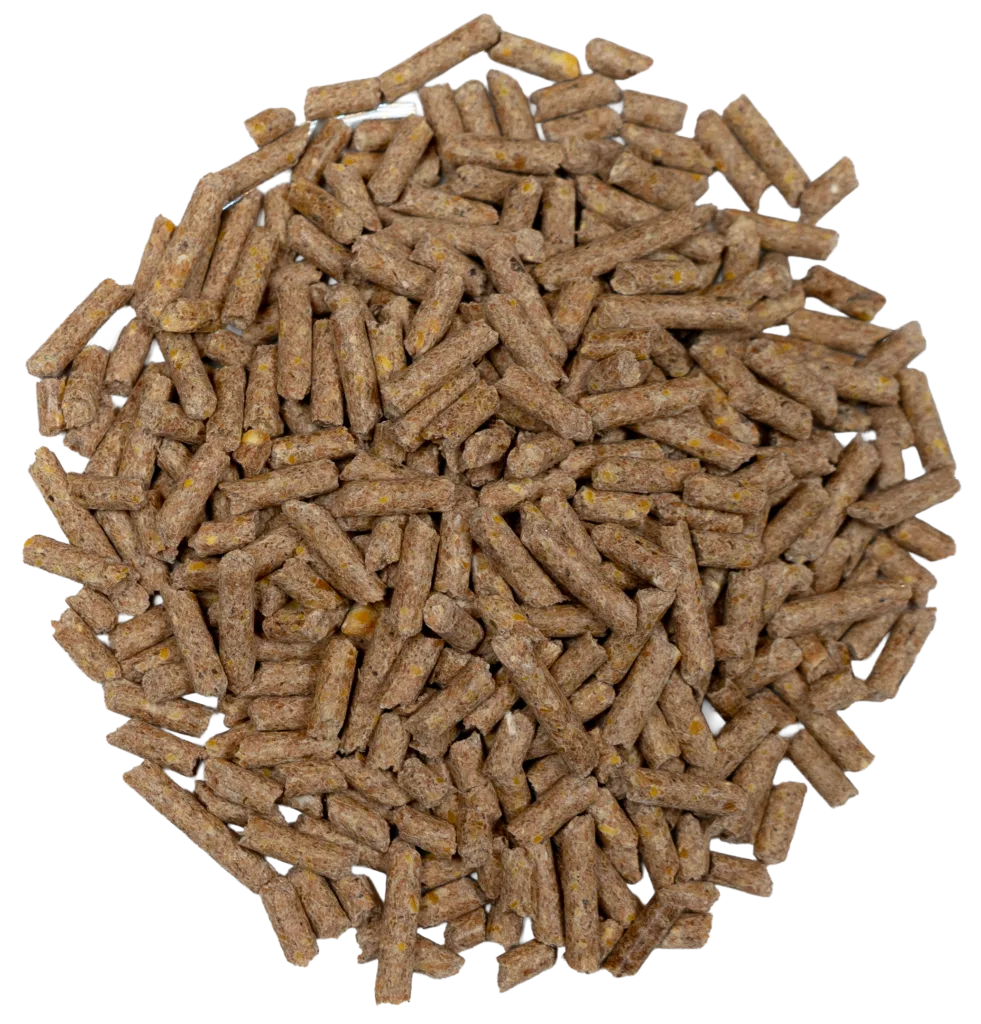 POTBELLY PIG PELLET feed