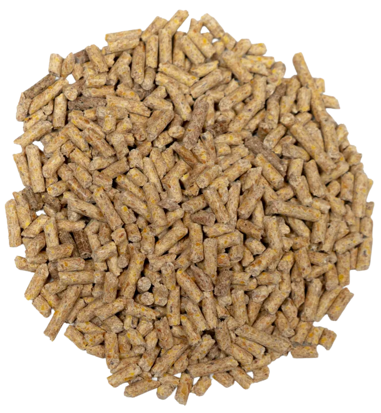 BIG V STARTER/GROWER SWINE PELLETS feed