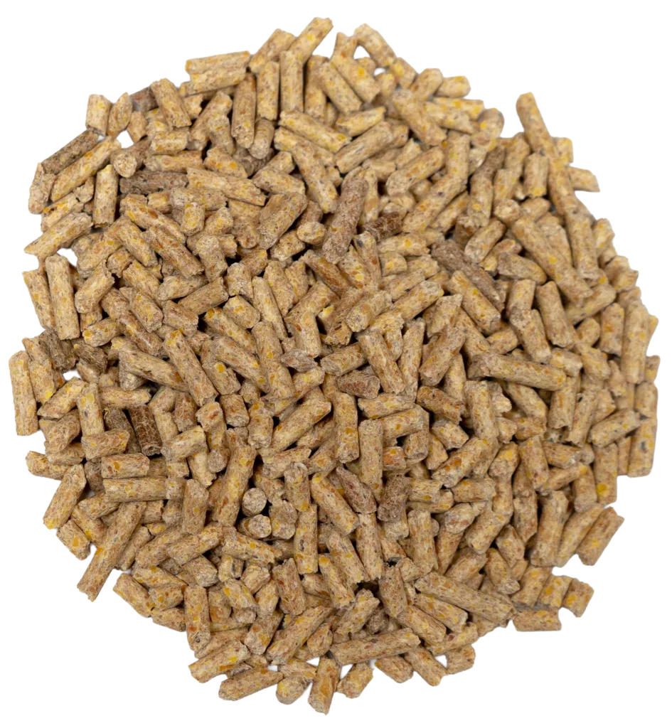 BIG V STARTER/GROWER SWINE PELLETS feed