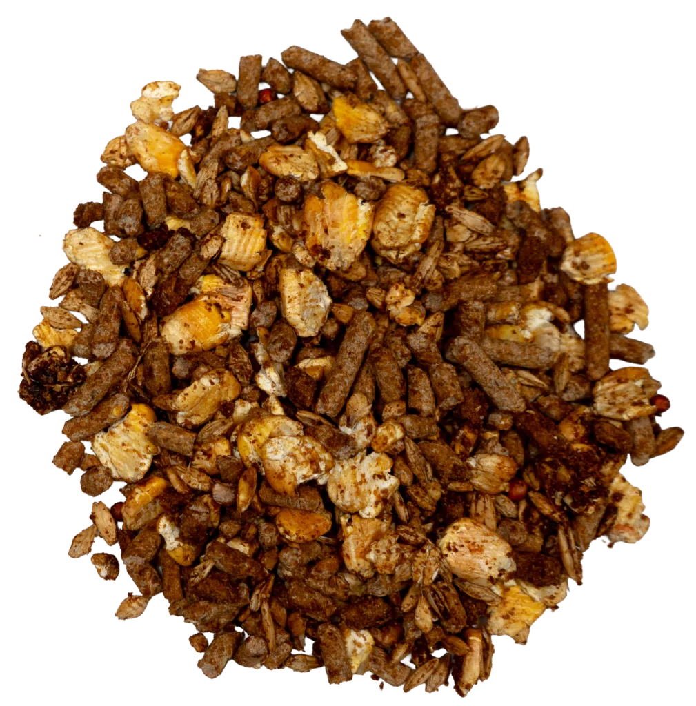 SWEET VEE ALLSTOCK feed