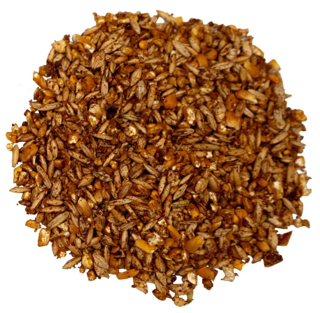 MAVERICK 12% SWEET GRAIN feed