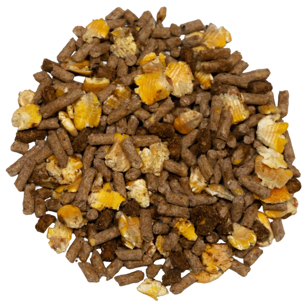 BARN MIX SWEET FEED feed