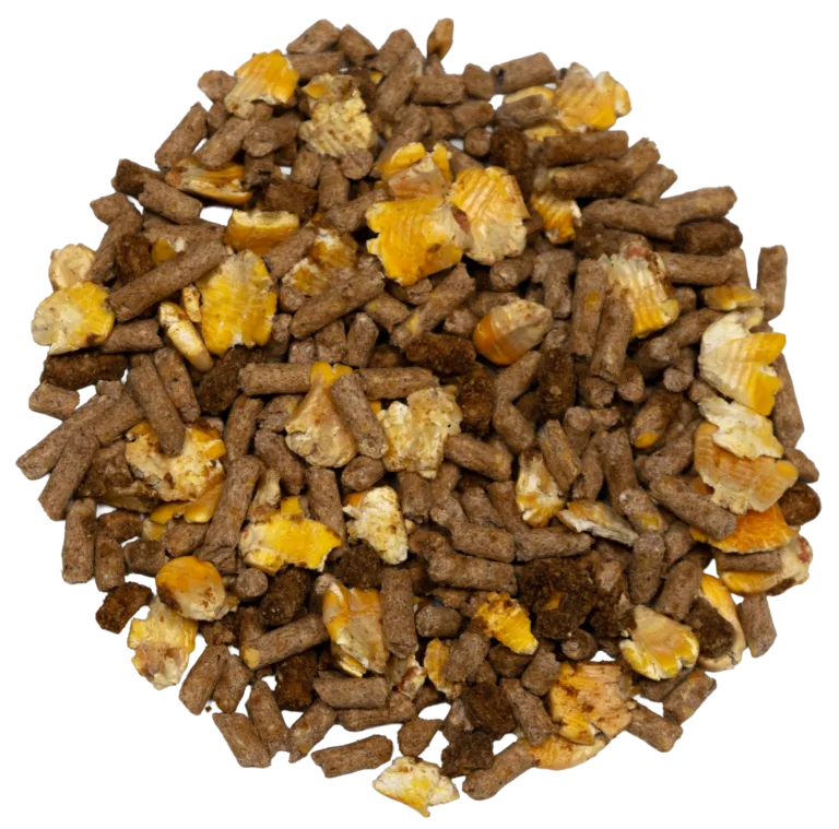 BARN MIX SWEET FEED feed