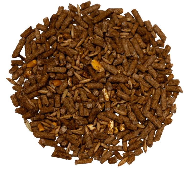 12% ALL STOCK SWEET feed