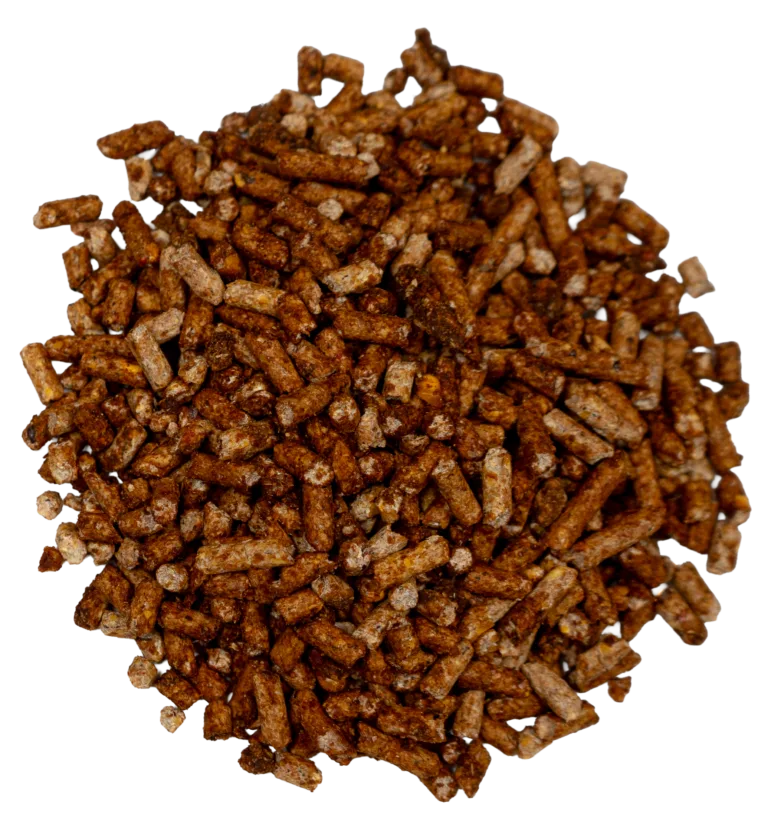 CCR 10% ALL-STOCK SWEET FEED feed