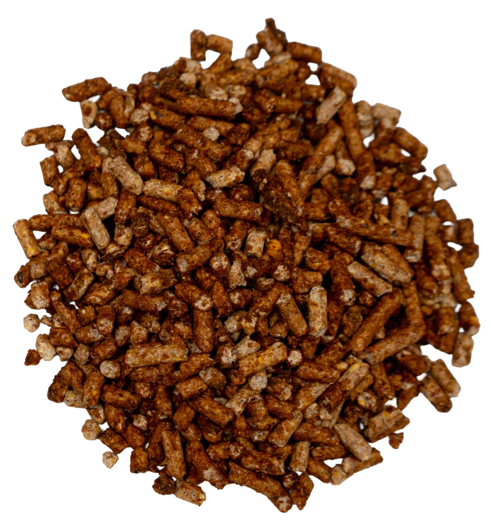 CCR 10% ALL-STOCK SWEET FEED feed