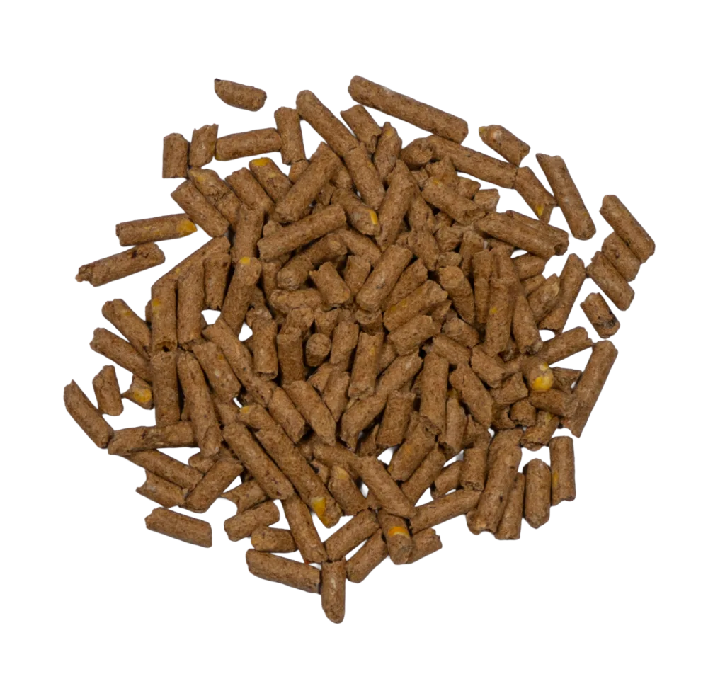 CCR 13% ALL-STOCK & EQUINE PELLET feed