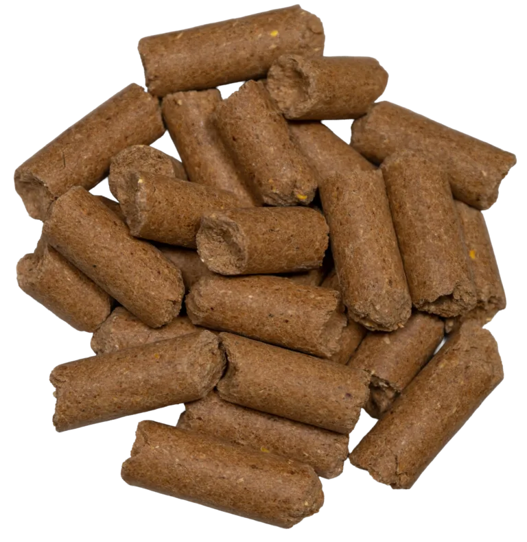 CCR 20% NATURAL CUBE feed