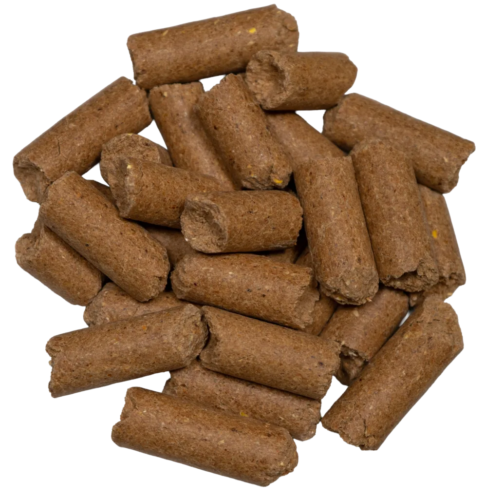 CCR 20% NATURAL CUBE feed