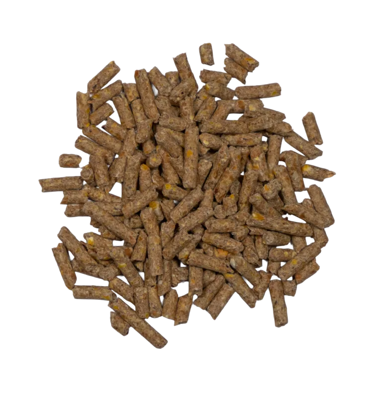 CCR 20% LAY PELLETS feed