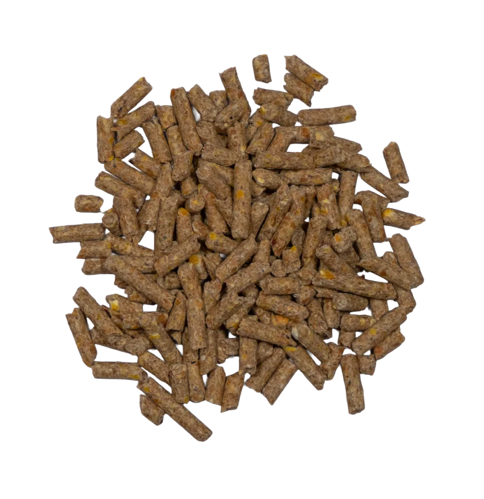 CCR 20% LAY PELLETS feed