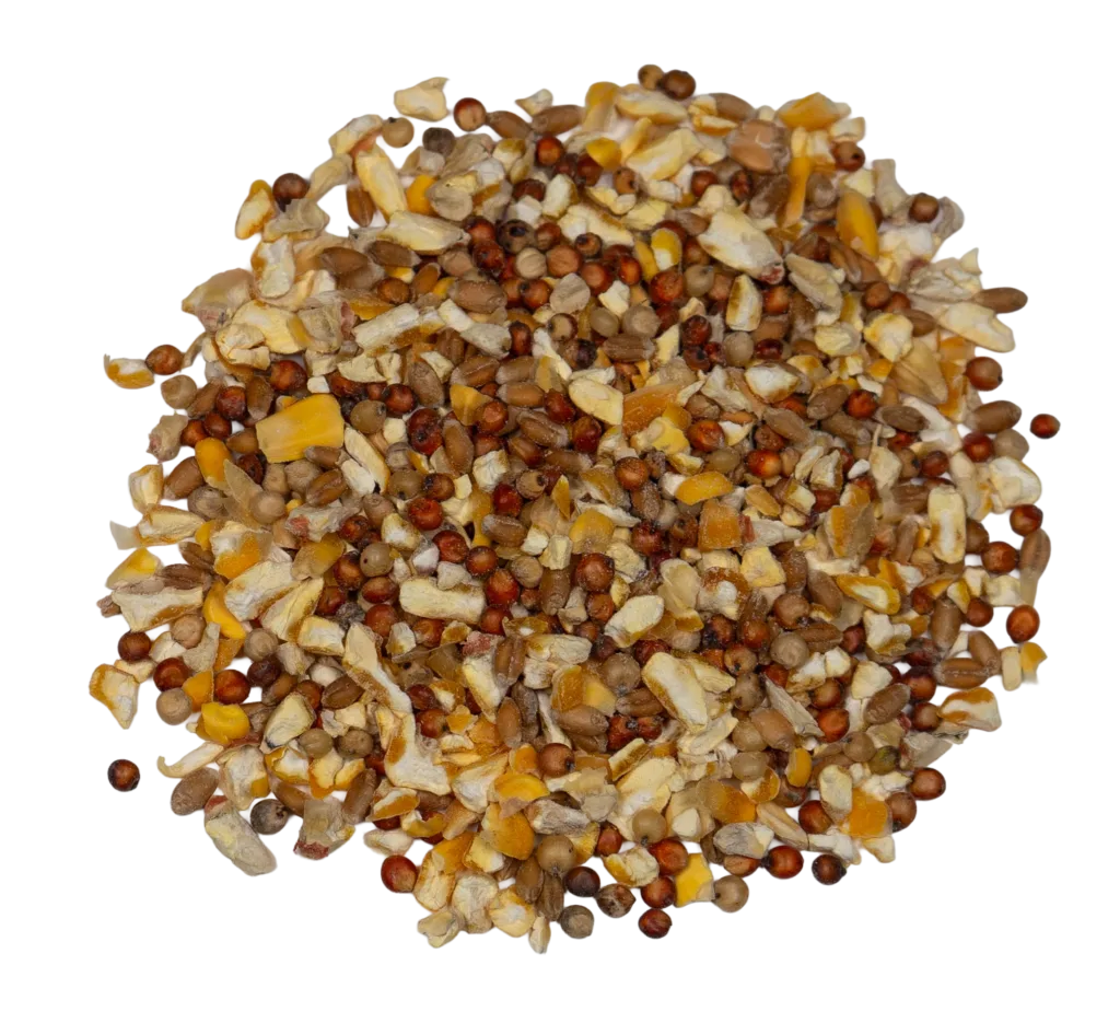 CCR 3 GRAIN SCRATCH feed