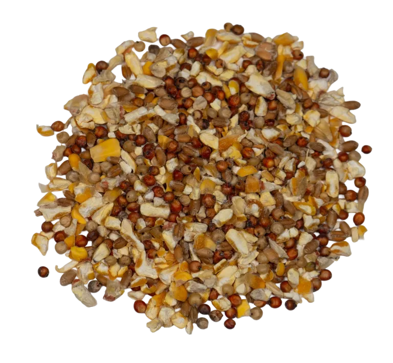 CCR 3 GRAIN SCRATCH feed