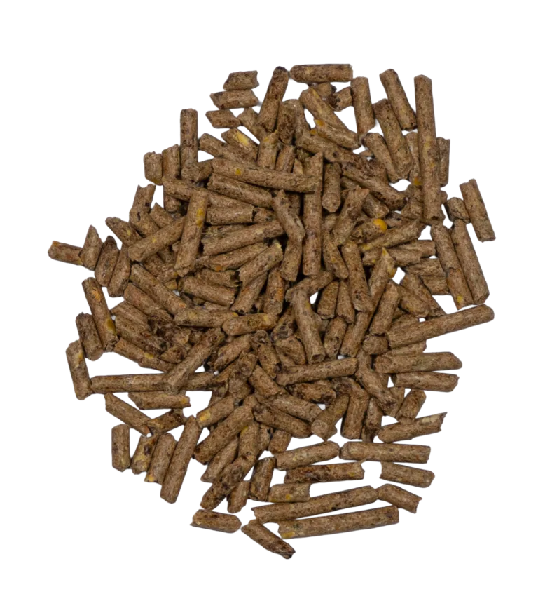 PRECONDITIONING/RECEIVING (MEDICATED) feed