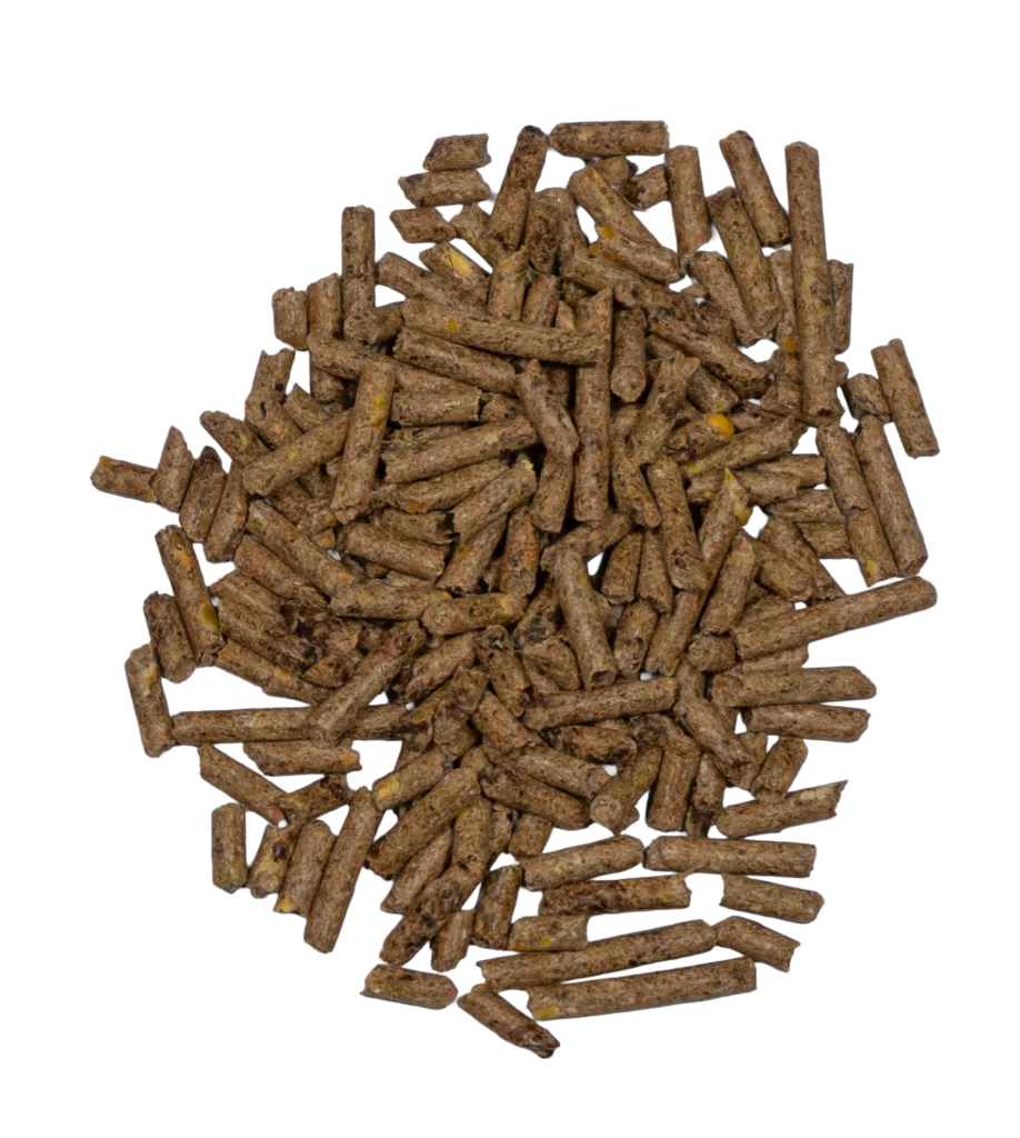 PRECONDITIONING/RECEIVING (MEDICATED) feed