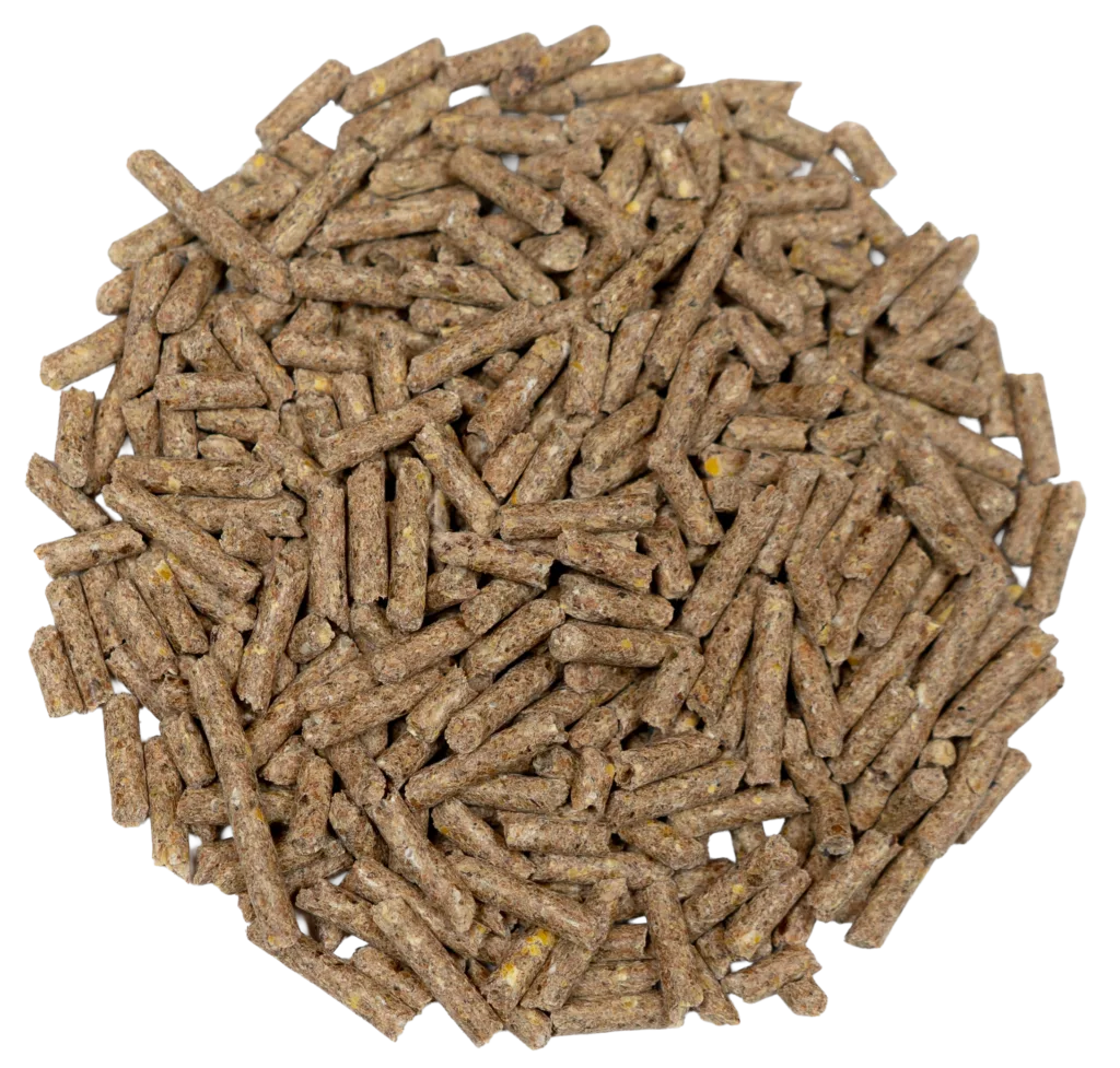 16% SHEEP PELLETS (MEDICATED) feed
