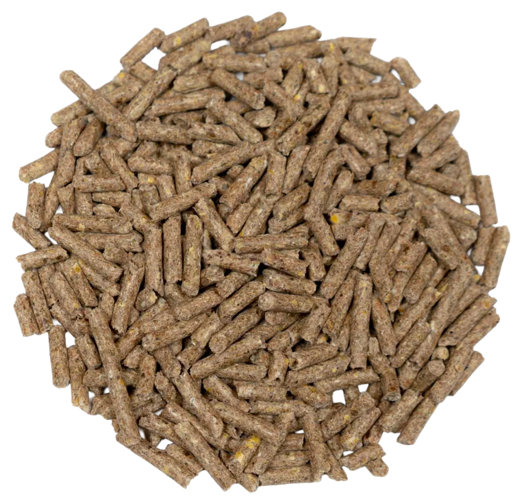 16% SHEEP PELLETS (MEDICATED) feed
