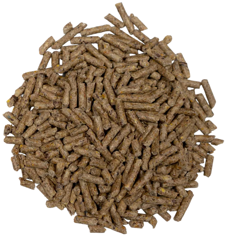 BIG V GOAT & KID FEED feed