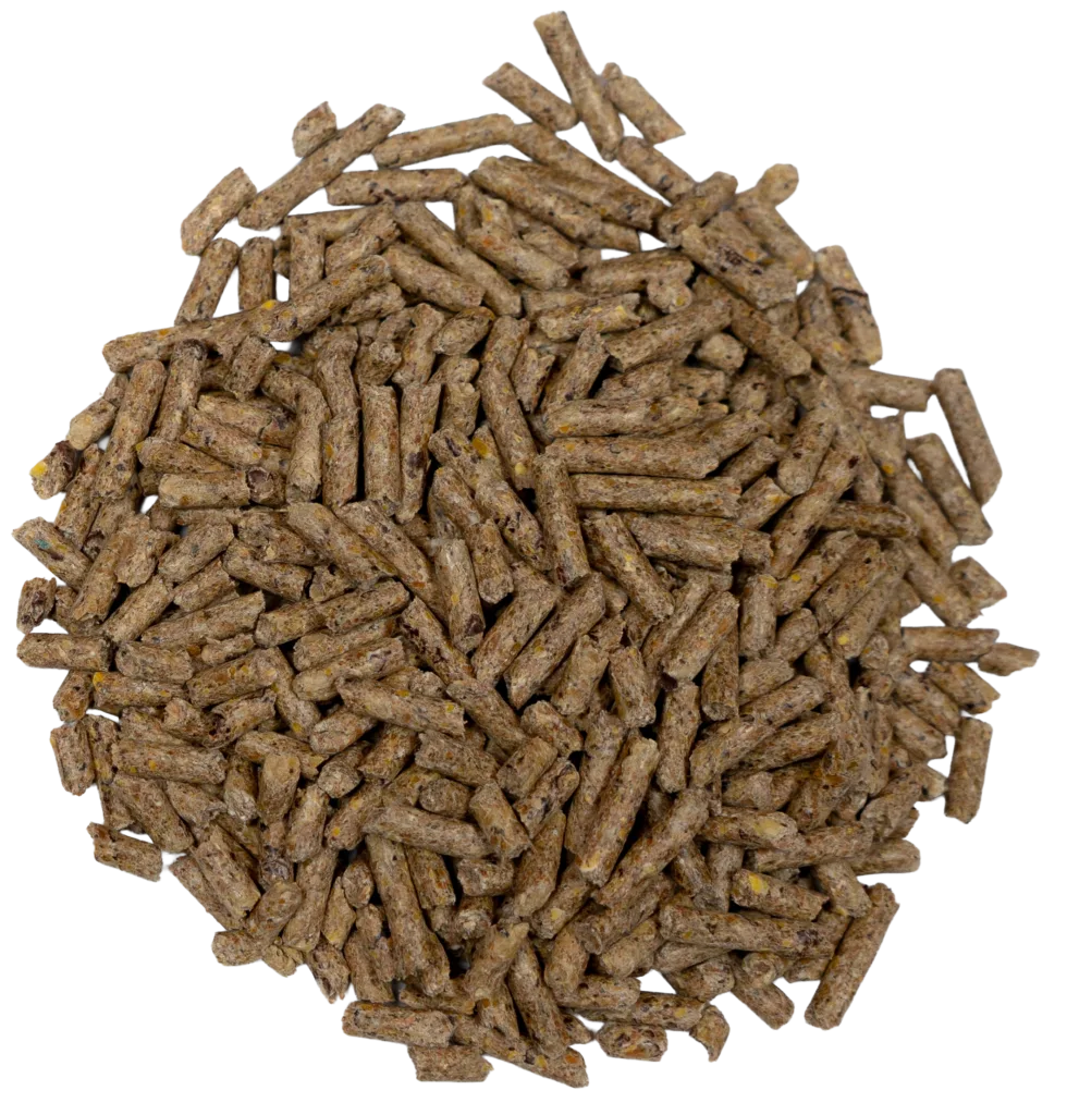 BIG V GOAT & KID FEED feed