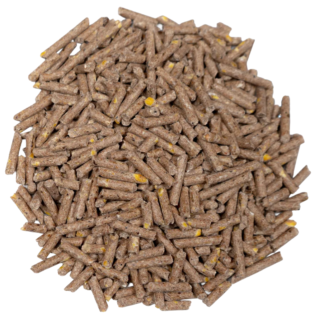 BIG V GOAT MAINTENANCE / BREEDER PELLETS (MEDICATED) feed