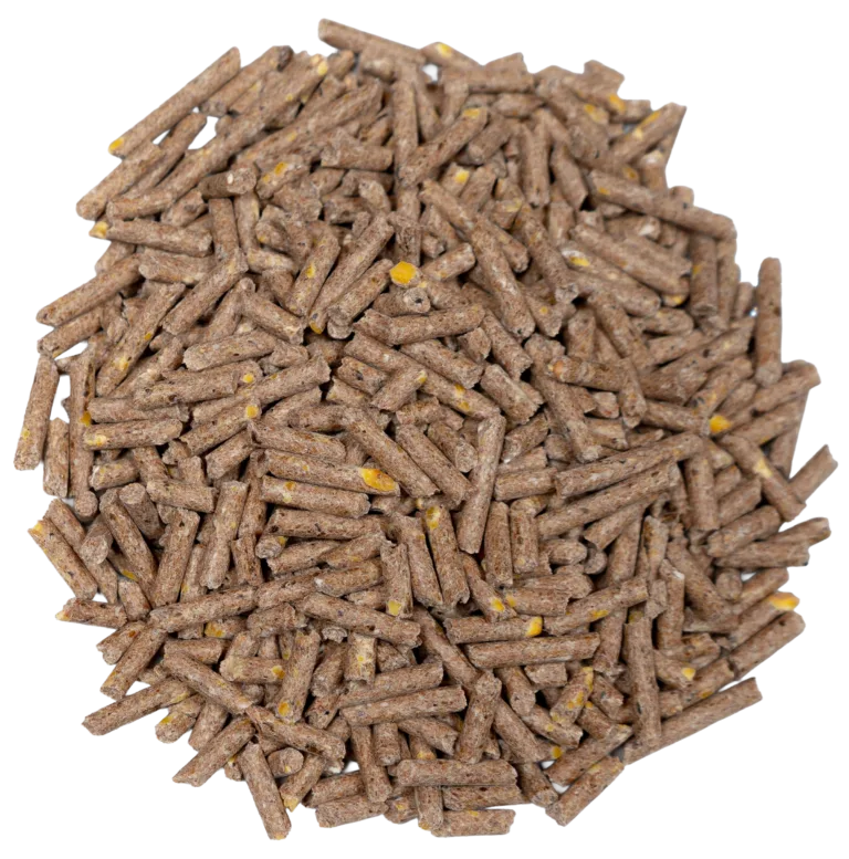 BIG V GOAT MAINTENANCE / BREEDER PELLETS (MEDICATED) feed