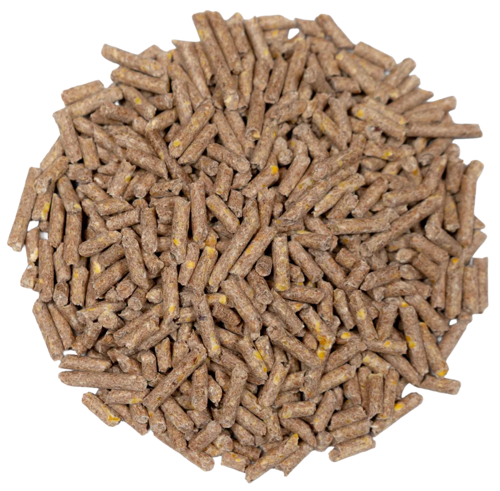 BIG V 16% SHEEP & GOAT (MEDICATED) feed