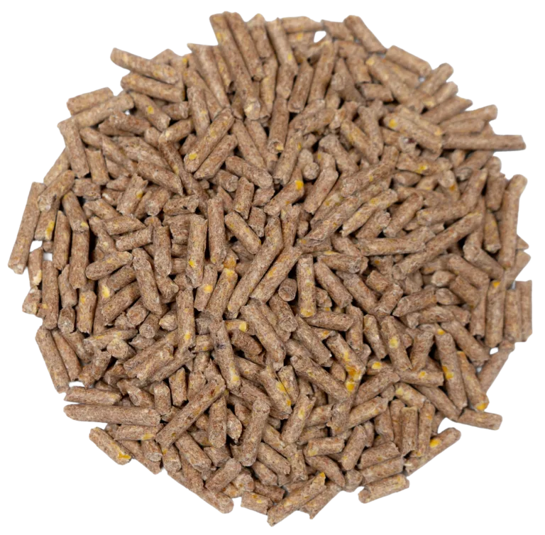BIG V 16% SHEEP & GOAT (MEDICATED) feed