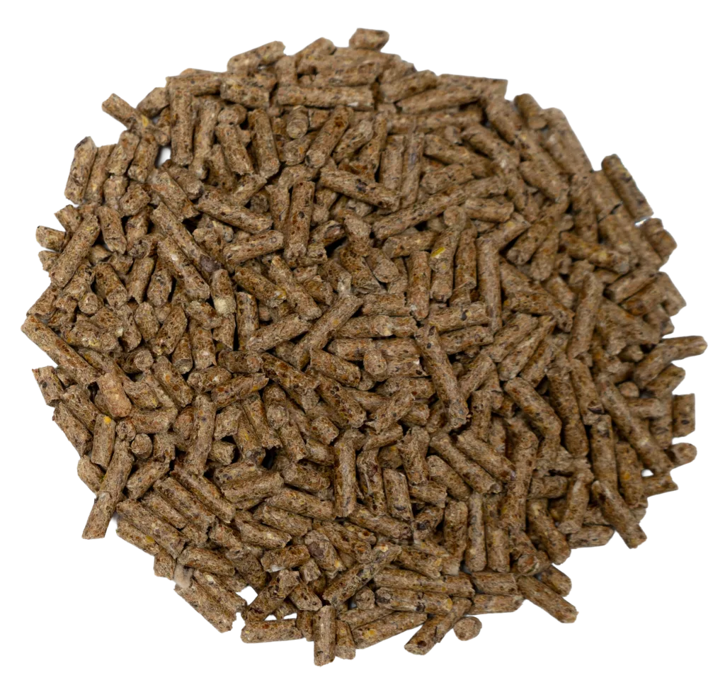 BIG V DAIRY GOAT PELLET feed