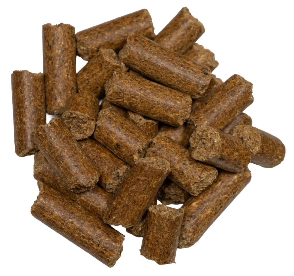 38% RANGE BREEDER CUBES feed