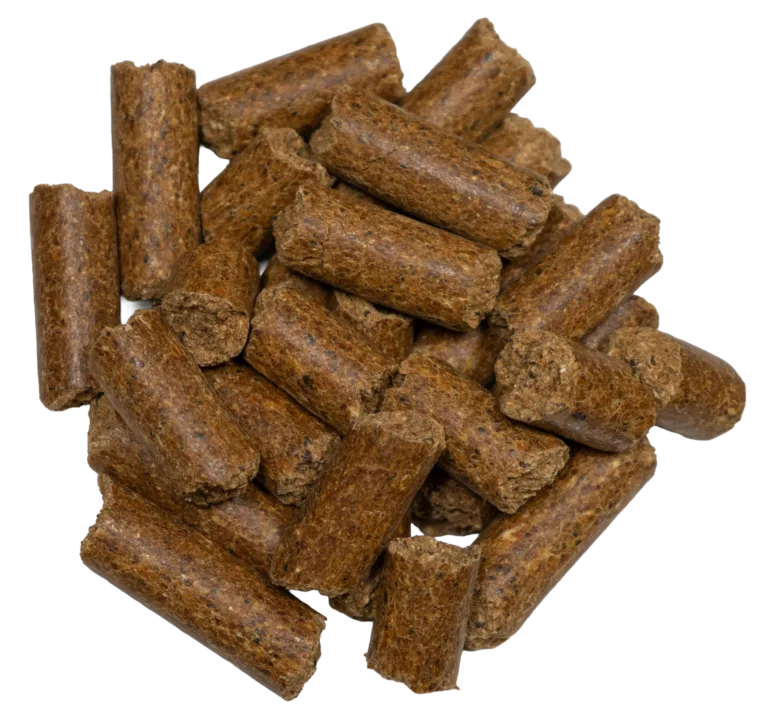 38% RANGE BREEDER CUBES feed