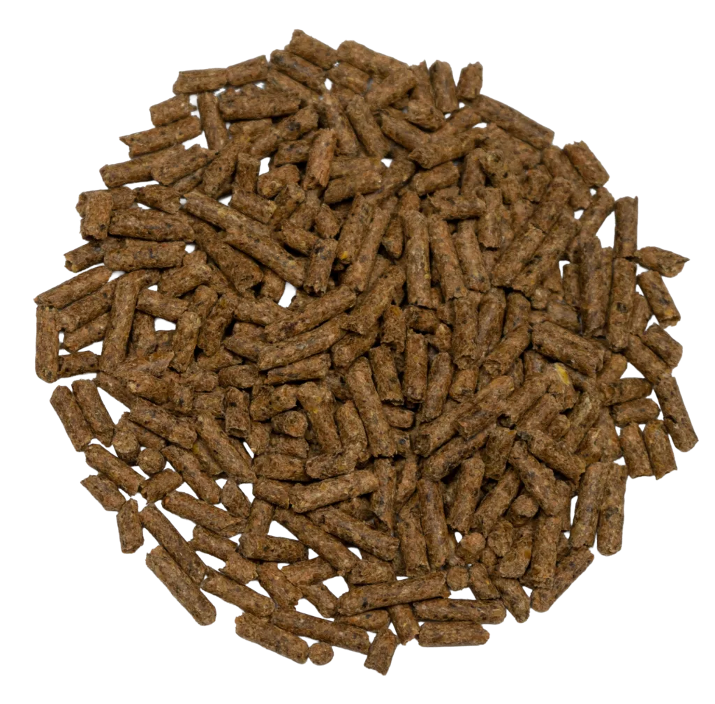 14% HERITAGE PERFORMANCE feed