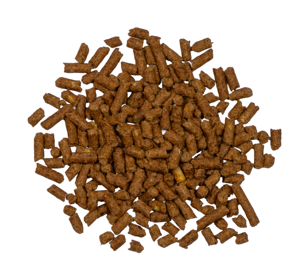 BIG V 12-8 HORSE PELLET feed