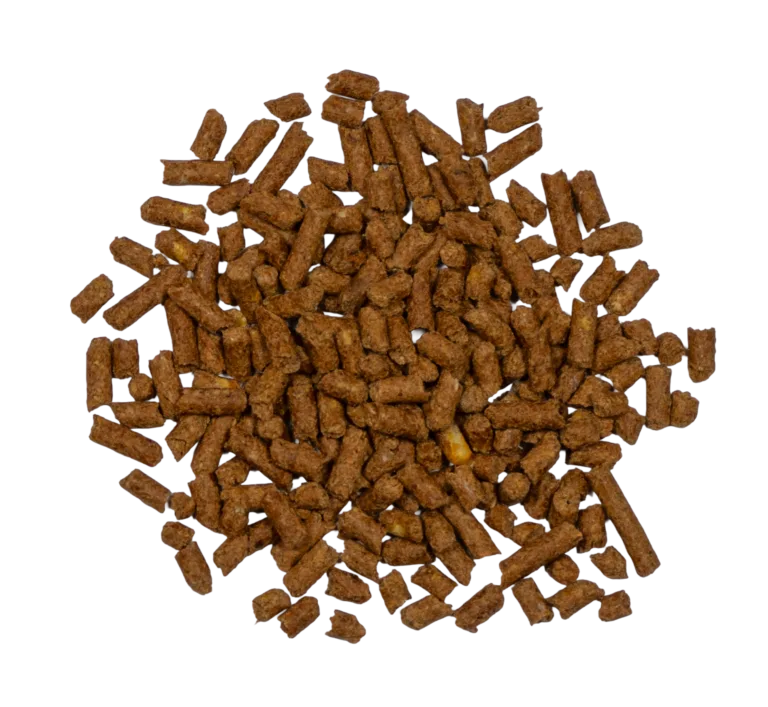 BIG V 12-8 HORSE PELLET feed