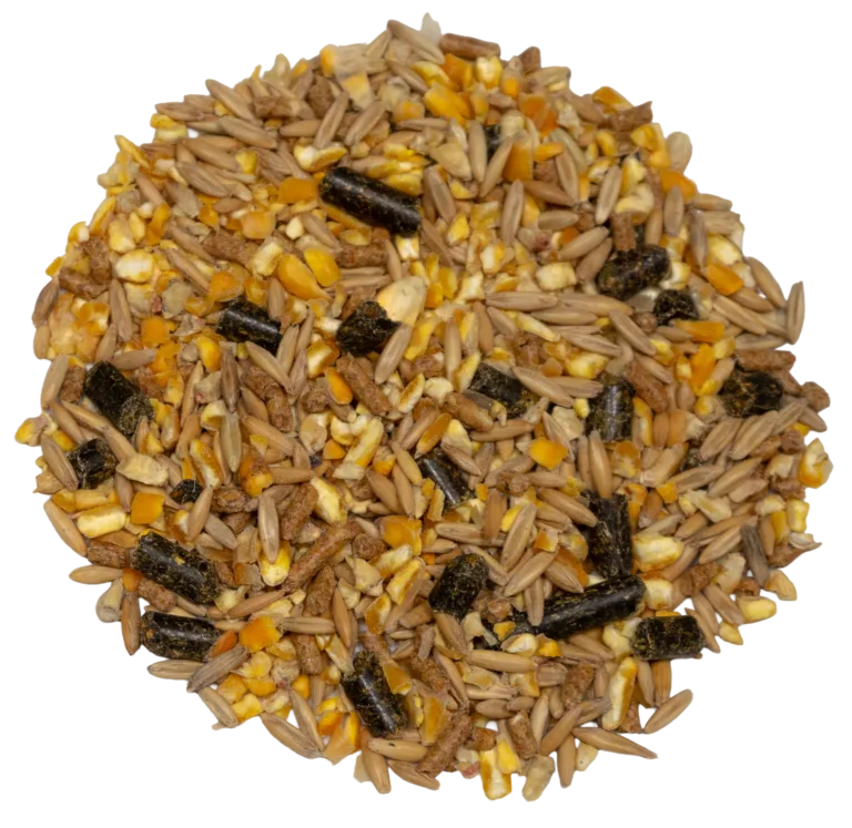 MAVERICK 14% DRY MIX feed
