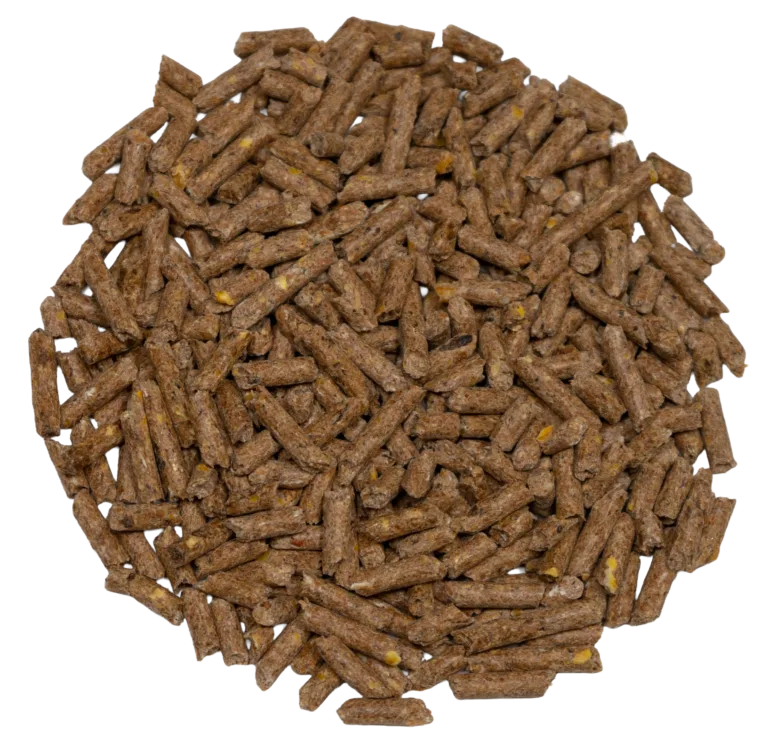 12-4 HORSE PELLETS feed