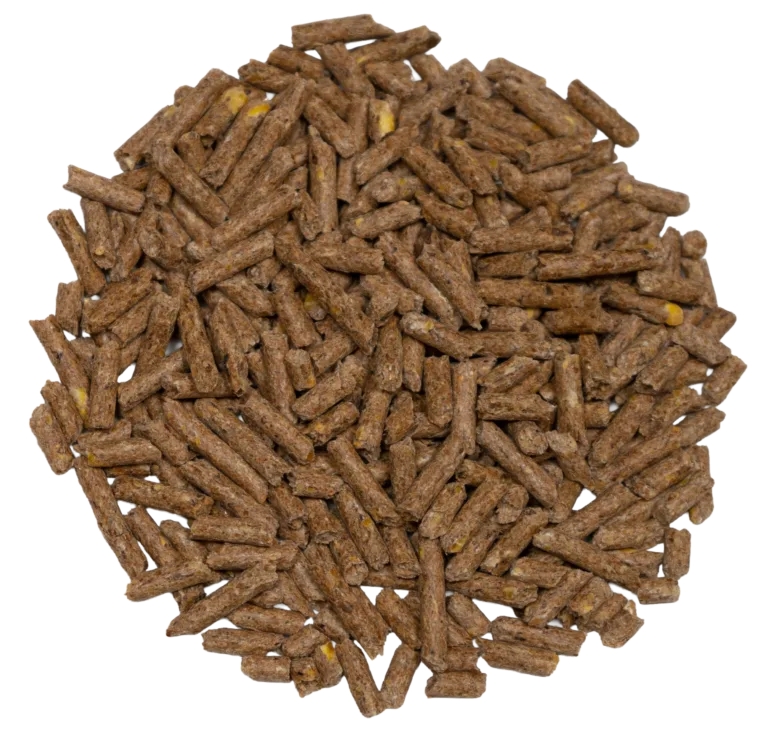 14-4 HORSE PELLETS feed
