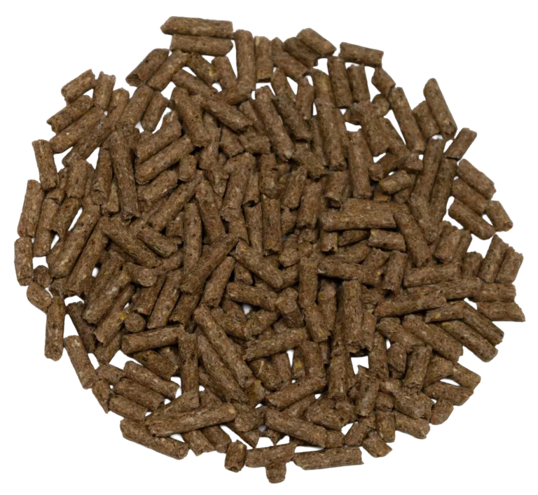 MAVERICK 12-8 HORSE PELLET feed