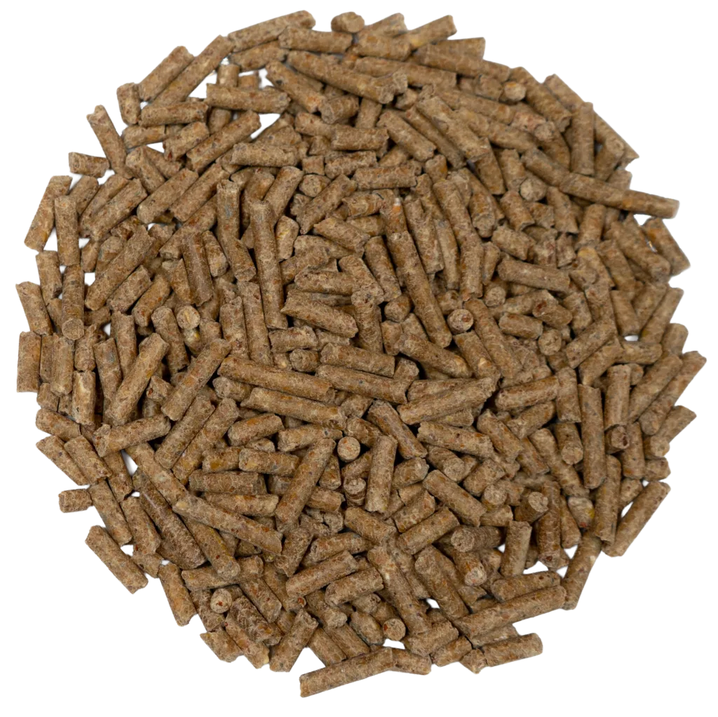 VITAPEP PROTEIN PLUS feed