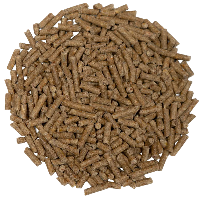 VITAPEP PROTEIN PLUS feed