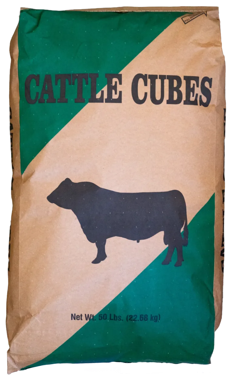 Cattle Feed Green